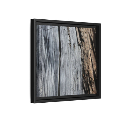 Wood's Lament - Unique Stretched Canvas Wall Art - Art By Earth