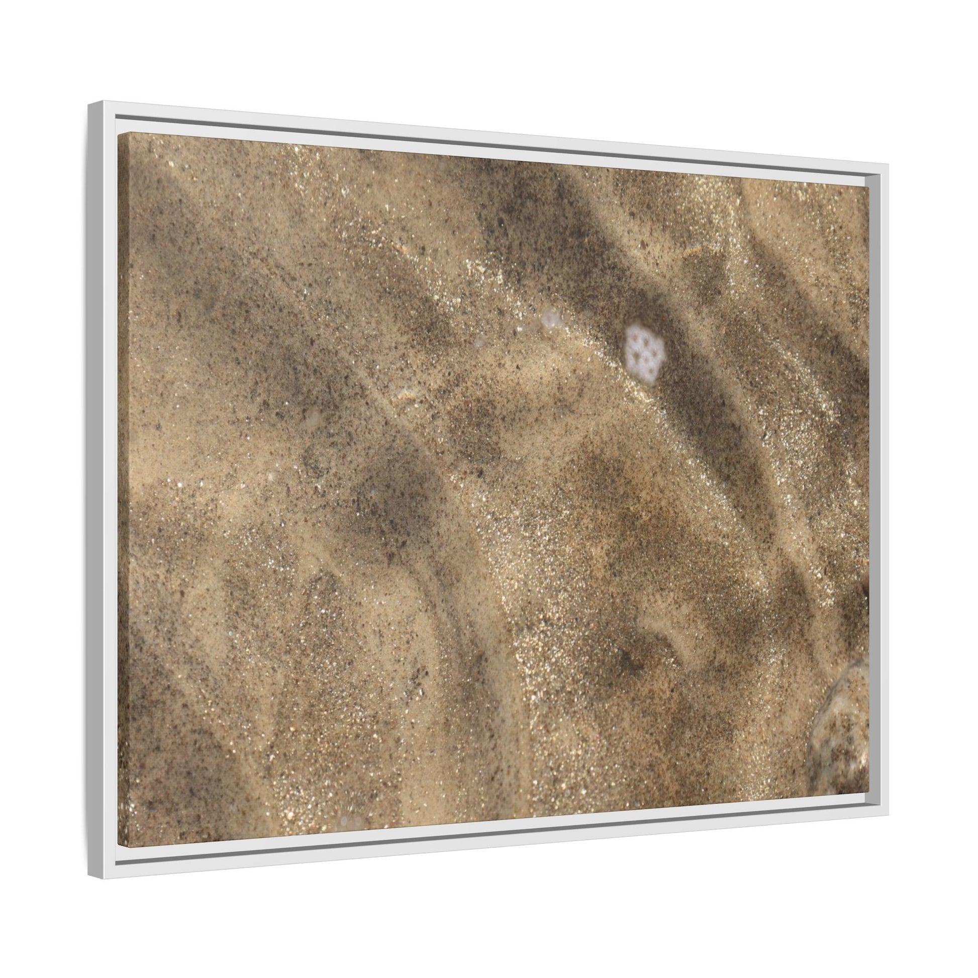 Underwater Sand Exploration - Unique Stretched Canvas Wall Art - Art By Earth