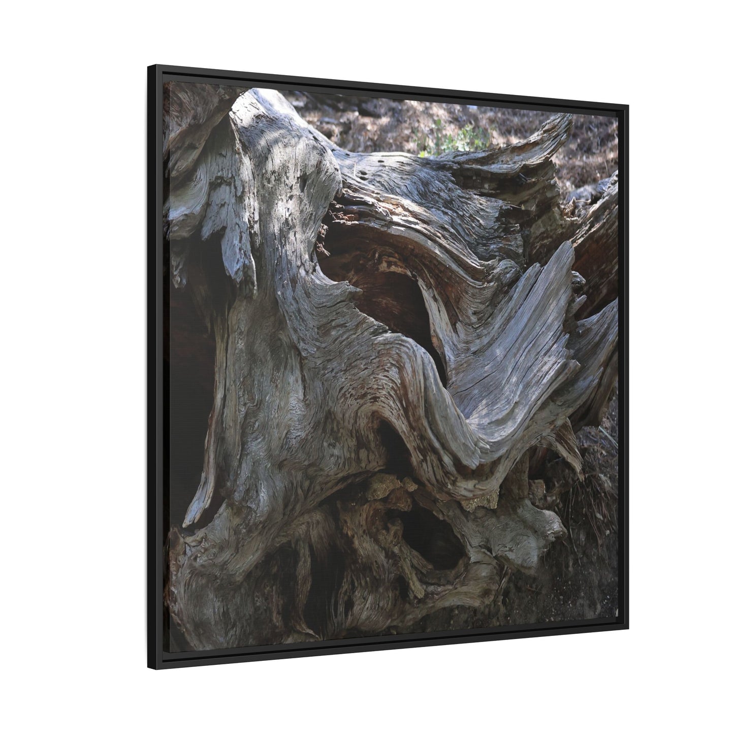 Twisted Memories - Unique Stretched Canvas Wall Art - Art By Earth