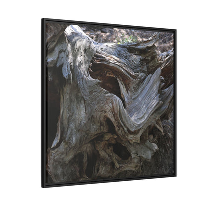 Twisted Memories - Unique Stretched Canvas Wall Art - Art By Earth