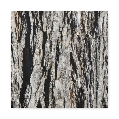 Bark Layers in Monochrome - Unique Frameless Canvas Wall Art - Art By Earth