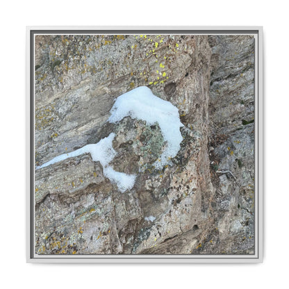 Lichen's Embrace - Unique Stretched Canvas Wall Art