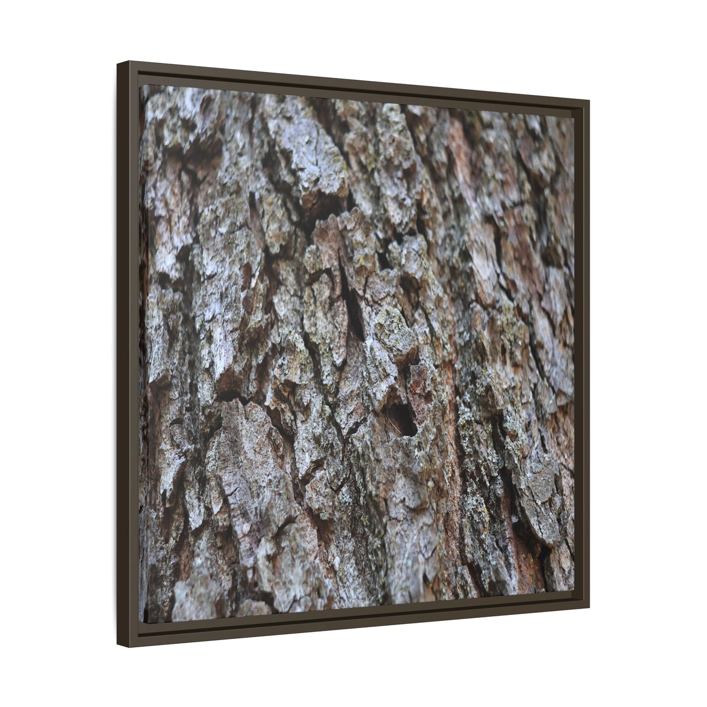 Woodland Canvas - Unique Stretched Canvas Wall Art - Art By Earth