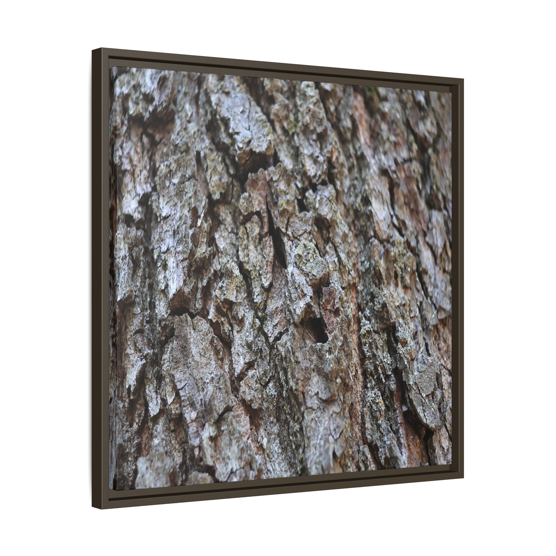 Woodland Canvas - Unique Stretched Canvas Wall Art - Art By Earth