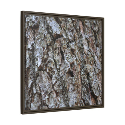 Woodland Canvas - Unique Stretched Canvas Wall Art - Art By Earth