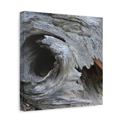 Twisted Whispers of the Forest Floor - Unique Frameless Canvas Wall Art - Art By Earth