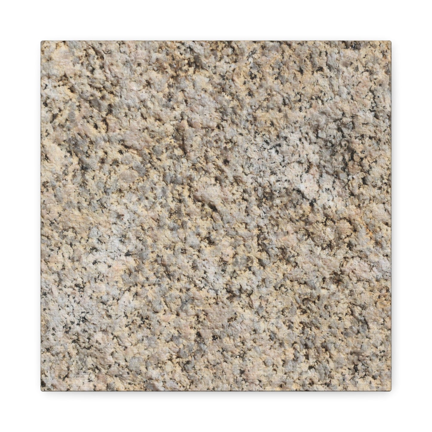 Granular Echoes - Unique Frameless Canvas Wall Art - Art By Earth