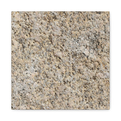 Granular Echoes - Unique Frameless Canvas Wall Art - Art By Earth