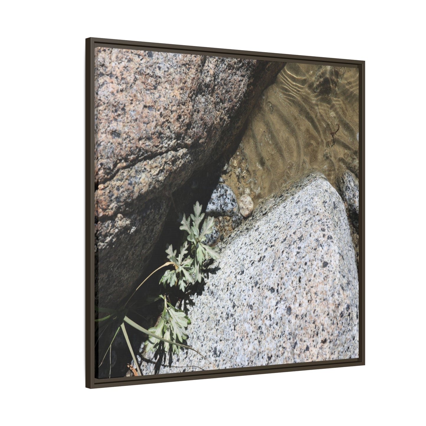 Resilience in Stone - Unique Stretched Canvas Wall Art - Art By Earth