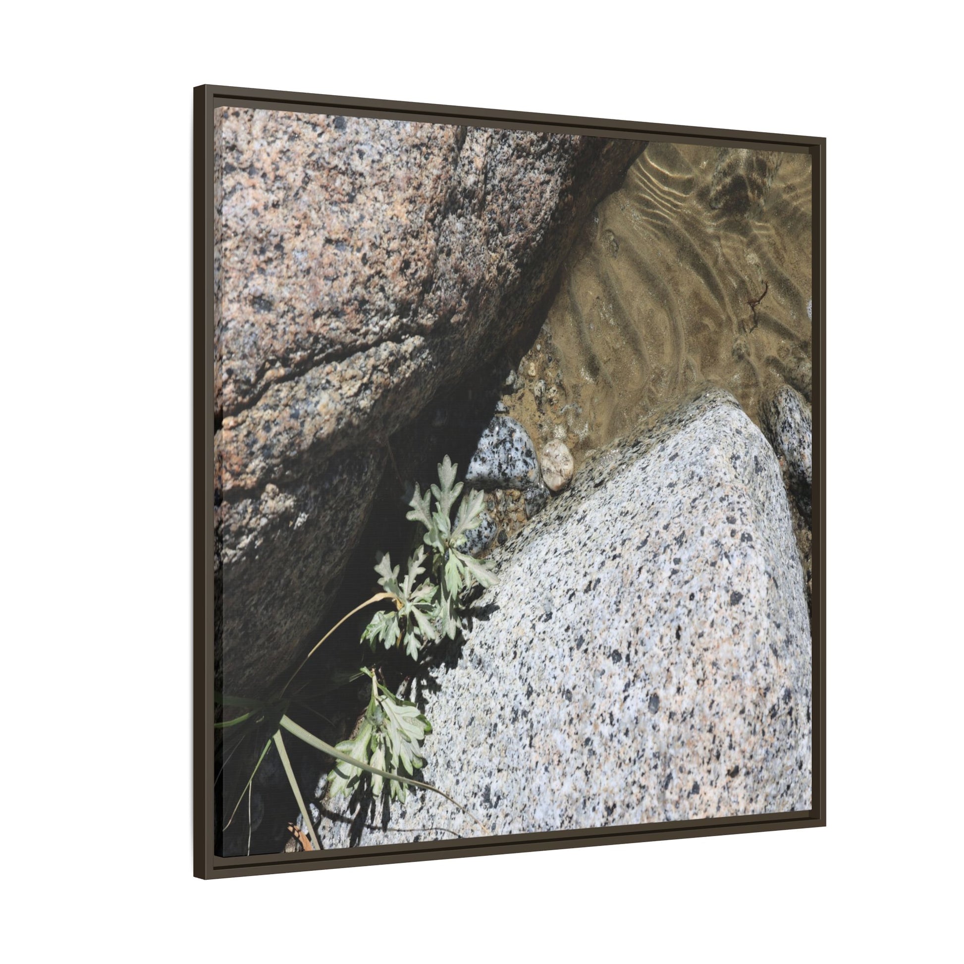 Resilience in Stone - Unique Stretched Canvas Wall Art - Art By Earth