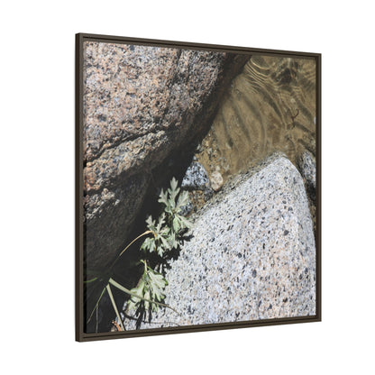 Resilience in Stone - Unique Stretched Canvas Wall Art - Art By Earth