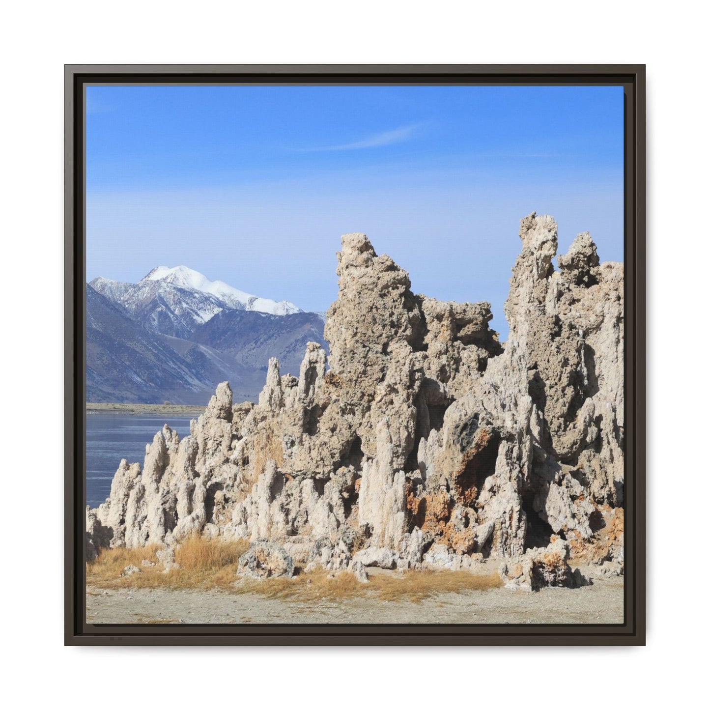 Mono Lake Tufa - Unique Stretched Canvas Wall Art