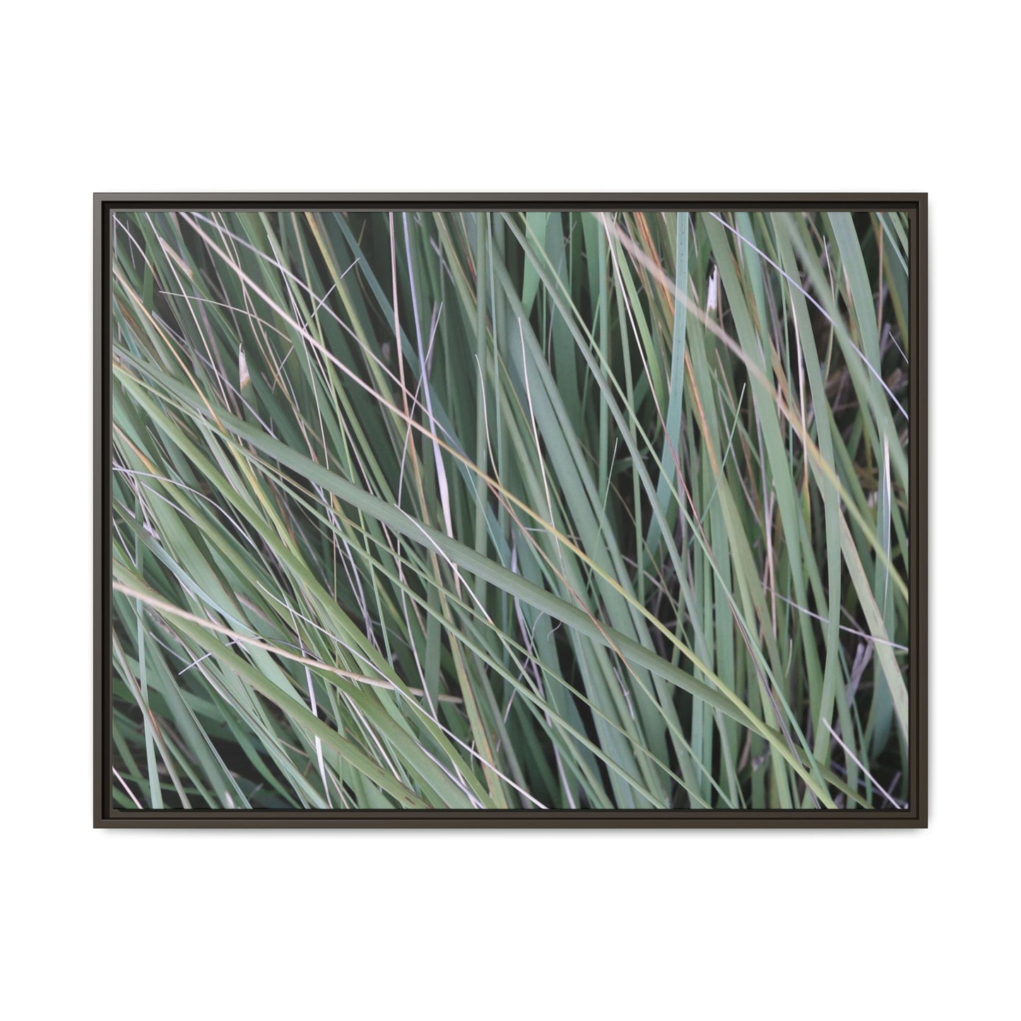 Grassland Symphony - Unique Stretched Canvas Wall Art - Art By Earth
