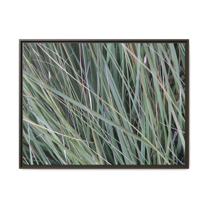 Grassland Symphony - Unique Stretched Canvas Wall Art - Art By Earth