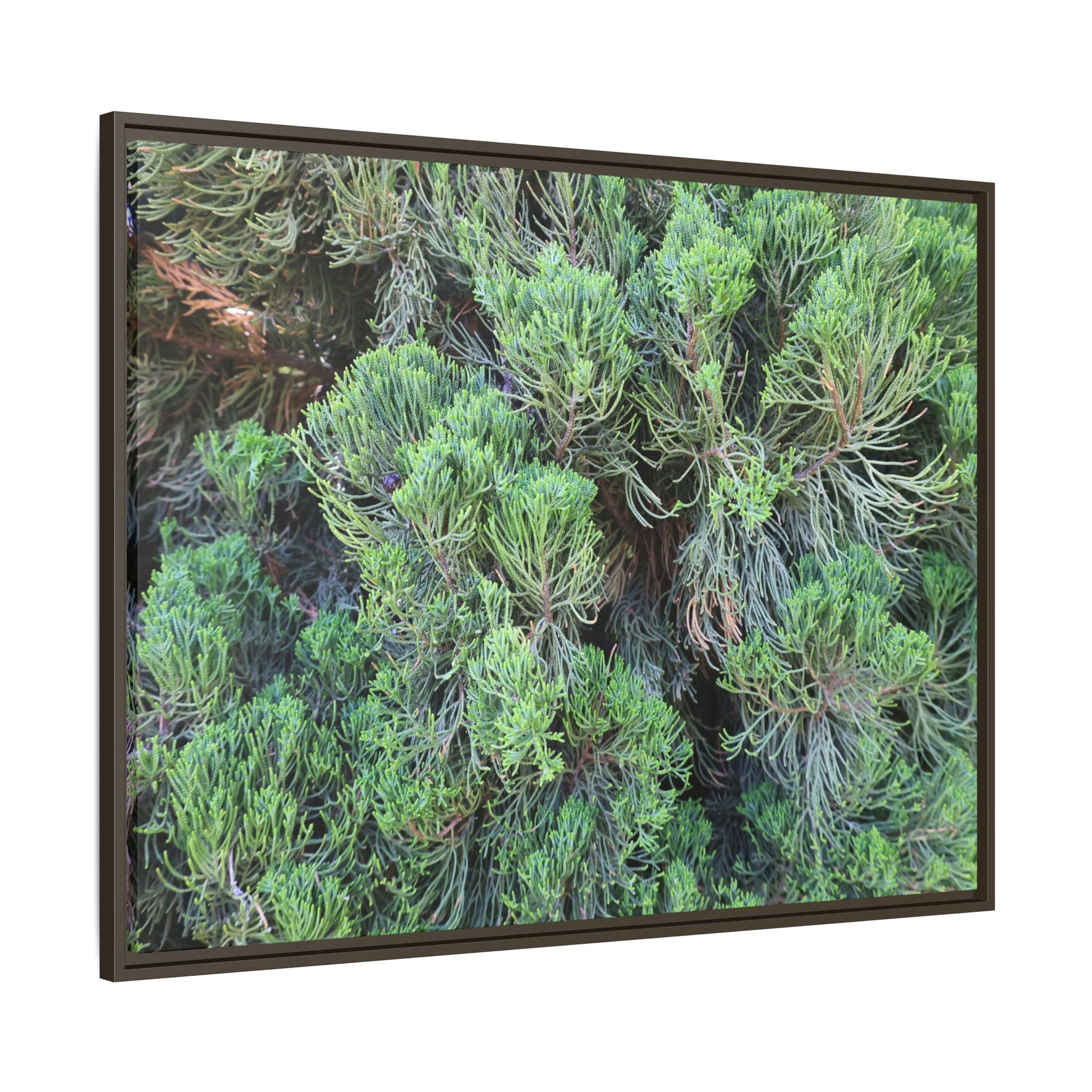 Verdant Whispers - Unique Stretched Canvas Wall Art - Art By Earth