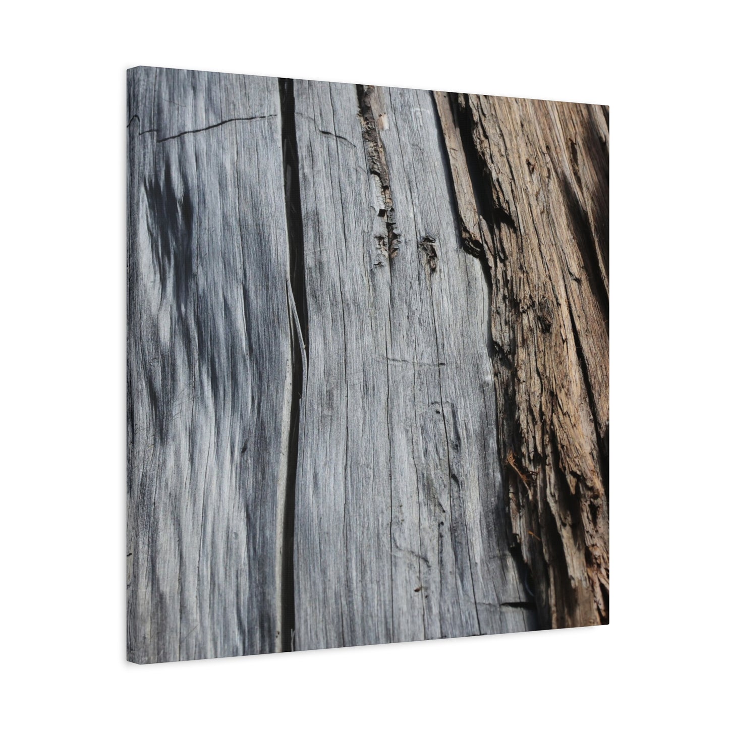 Fracture Lines - Unique Frameless Canvas Wall Art - Art By Earth