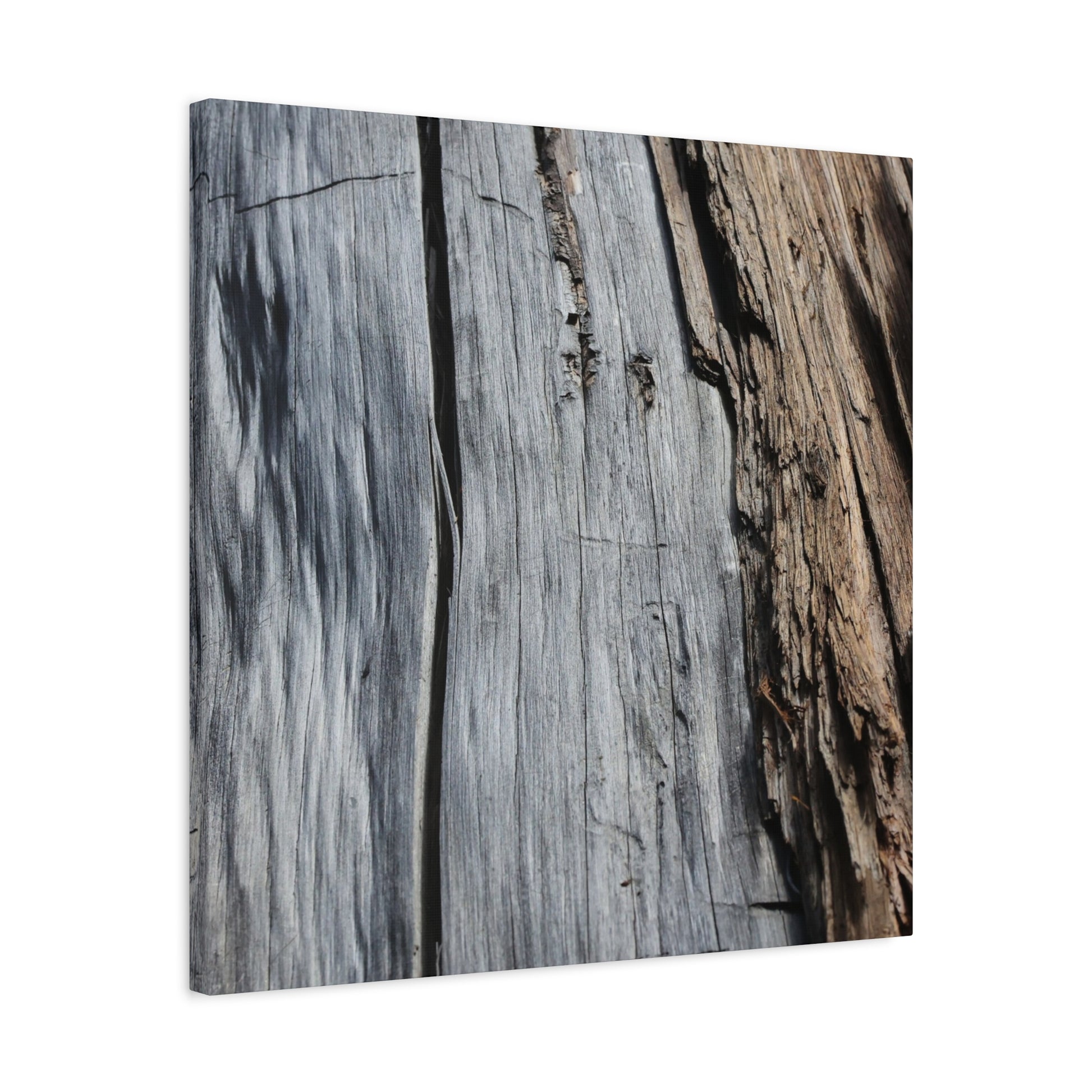 Fracture Lines - Unique Frameless Canvas Wall Art - Art By Earth