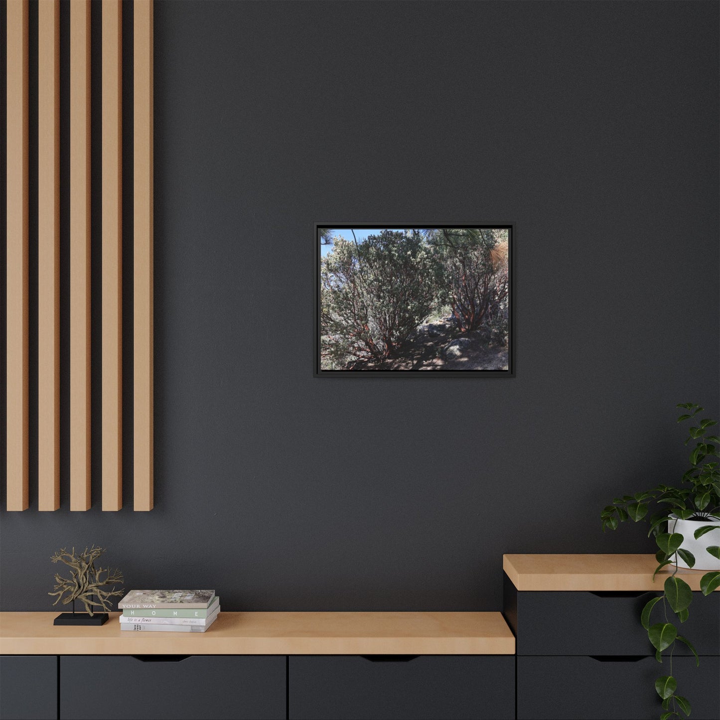 Desert Trail Through Blooming Manzanita - Unique Stretched Canvas Wall Art