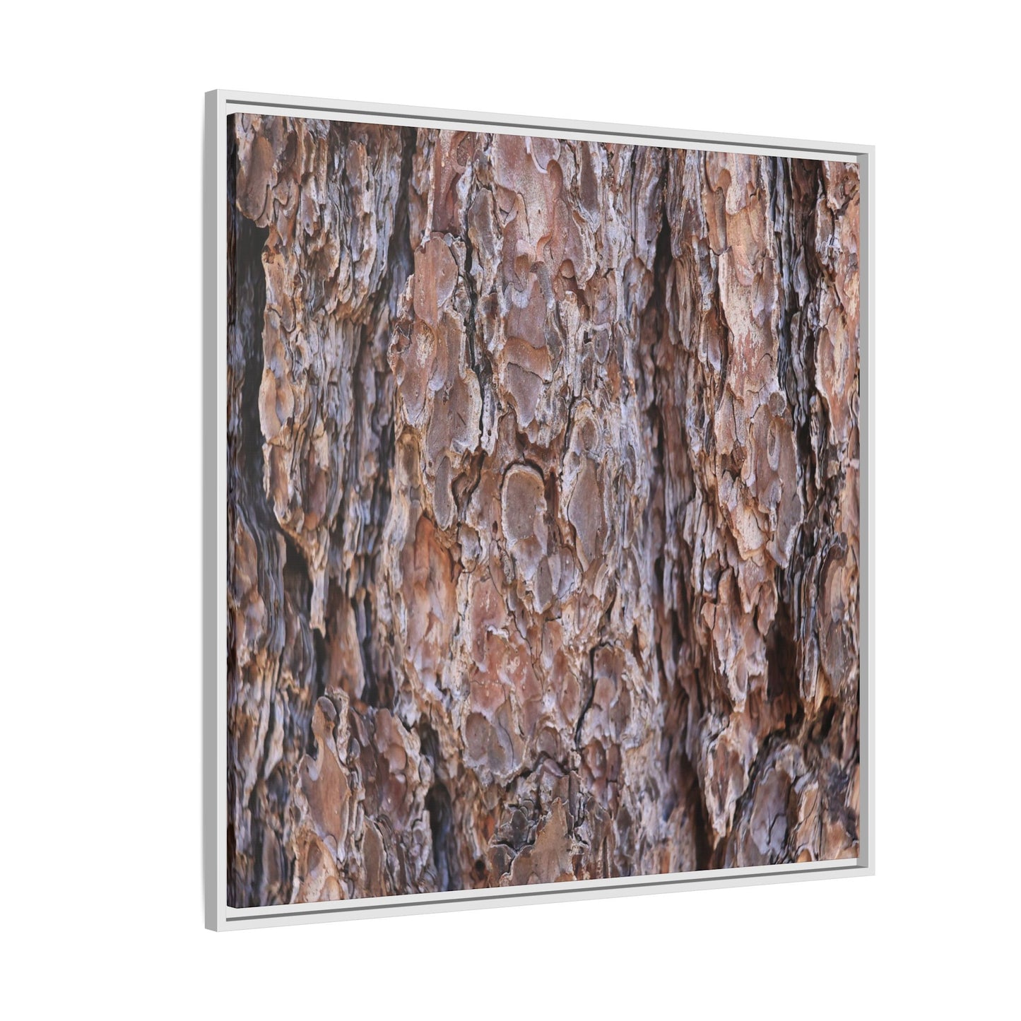 Woody Layers - Unique Stretched Canvas Wall Art - Art By Earth