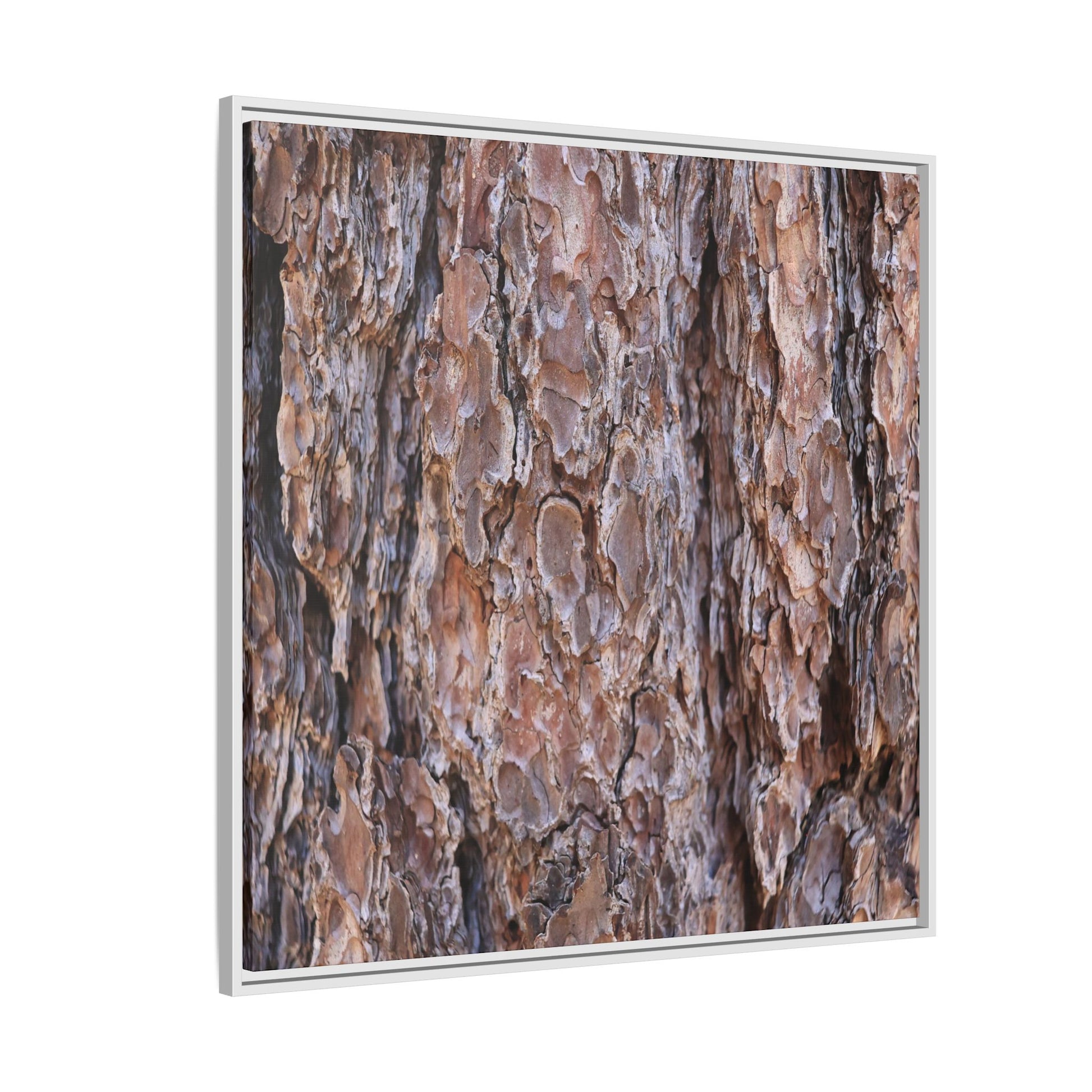 Woody Layers - Unique Stretched Canvas Wall Art - Art By Earth