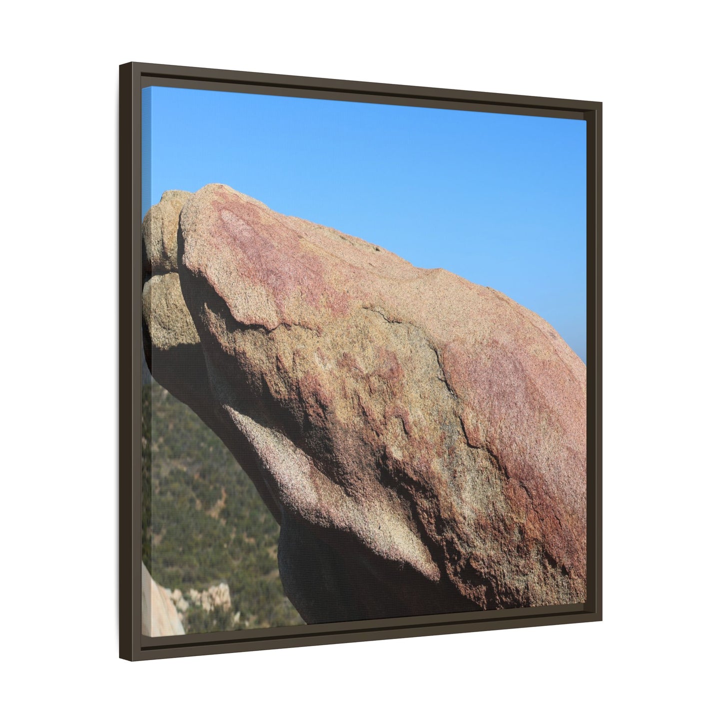 Sleeping Stone - Unique Stretched Canvas Wall Art - Art By Earth