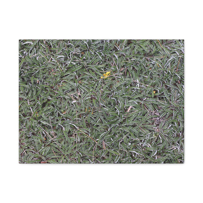 Tangled Memories - Unique Frameless Canvas Wall Art - Art By Earth