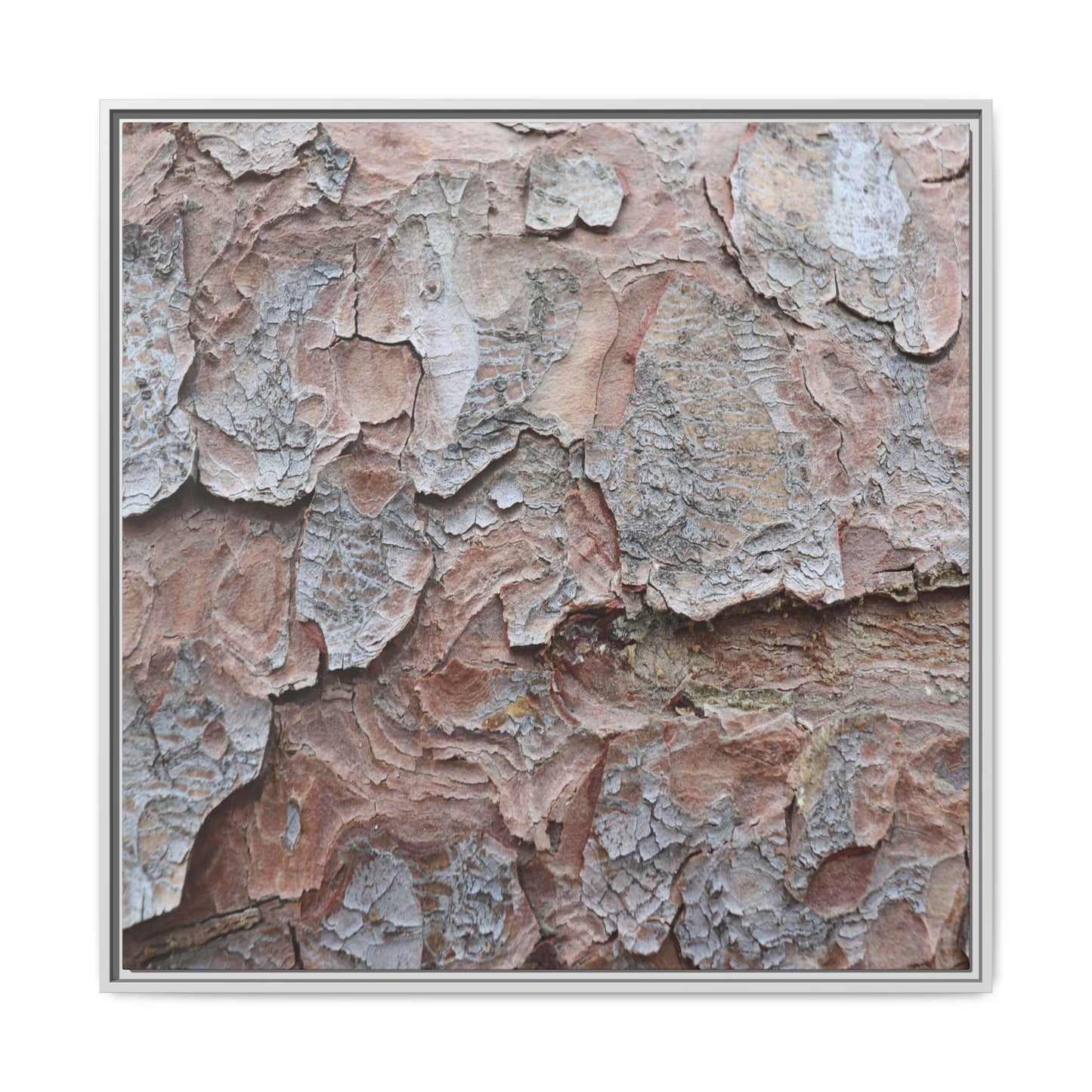 Flaking Serenity - Unique Stretched Canvas Wall Art - Art By Earth