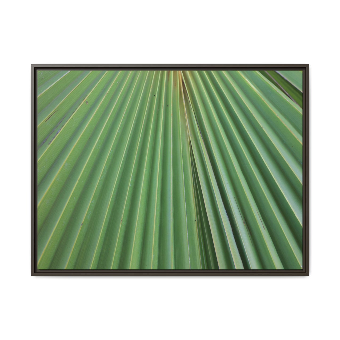 Verdant Veins - Unique Stretched Canvas Wall Art - Art By Earth