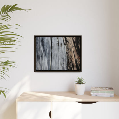 Wood's Lament - Unique Stretched Canvas Wall Art - Art By Earth