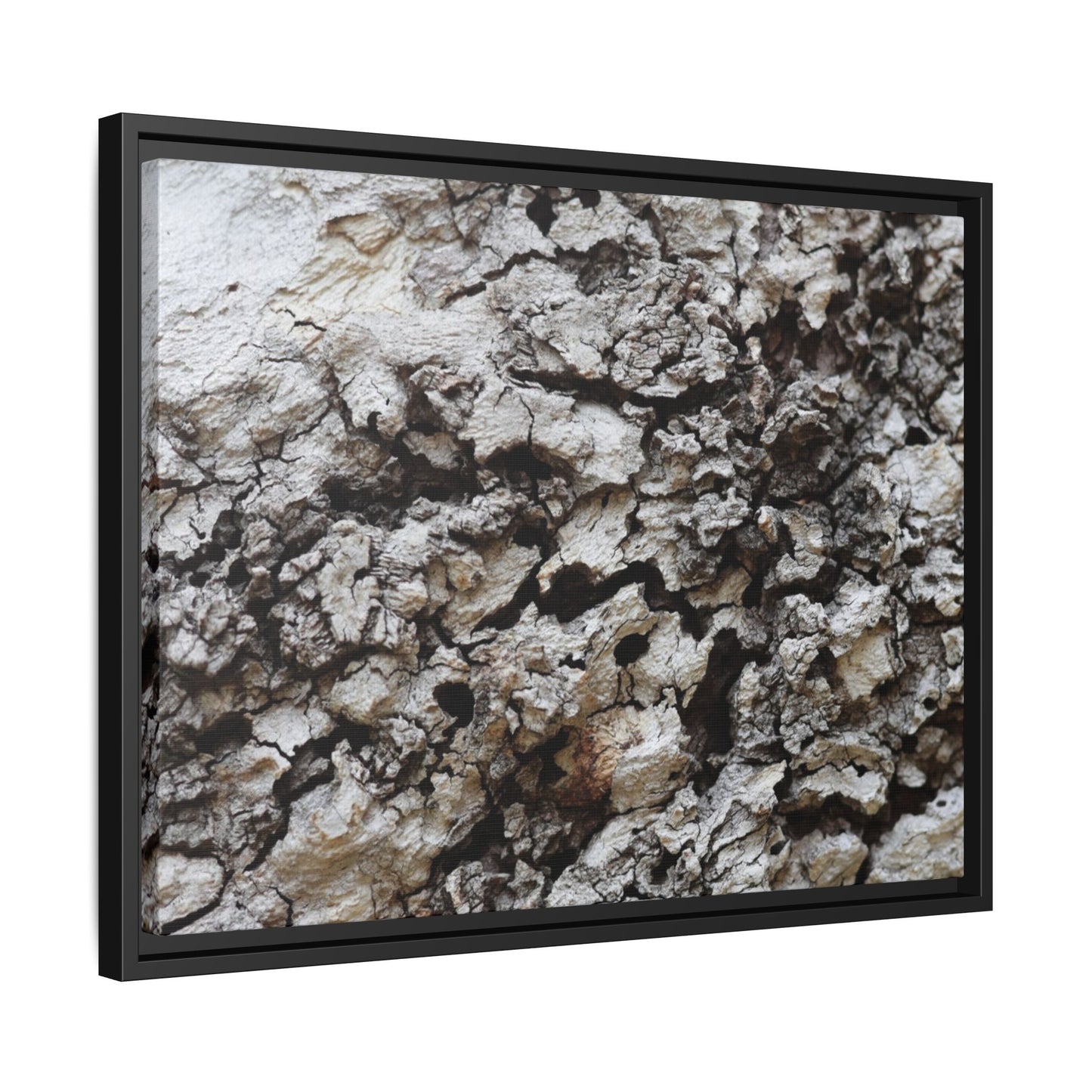 Cracked Terrain - Unique Stretched Canvas Wall Art - Art By Earth