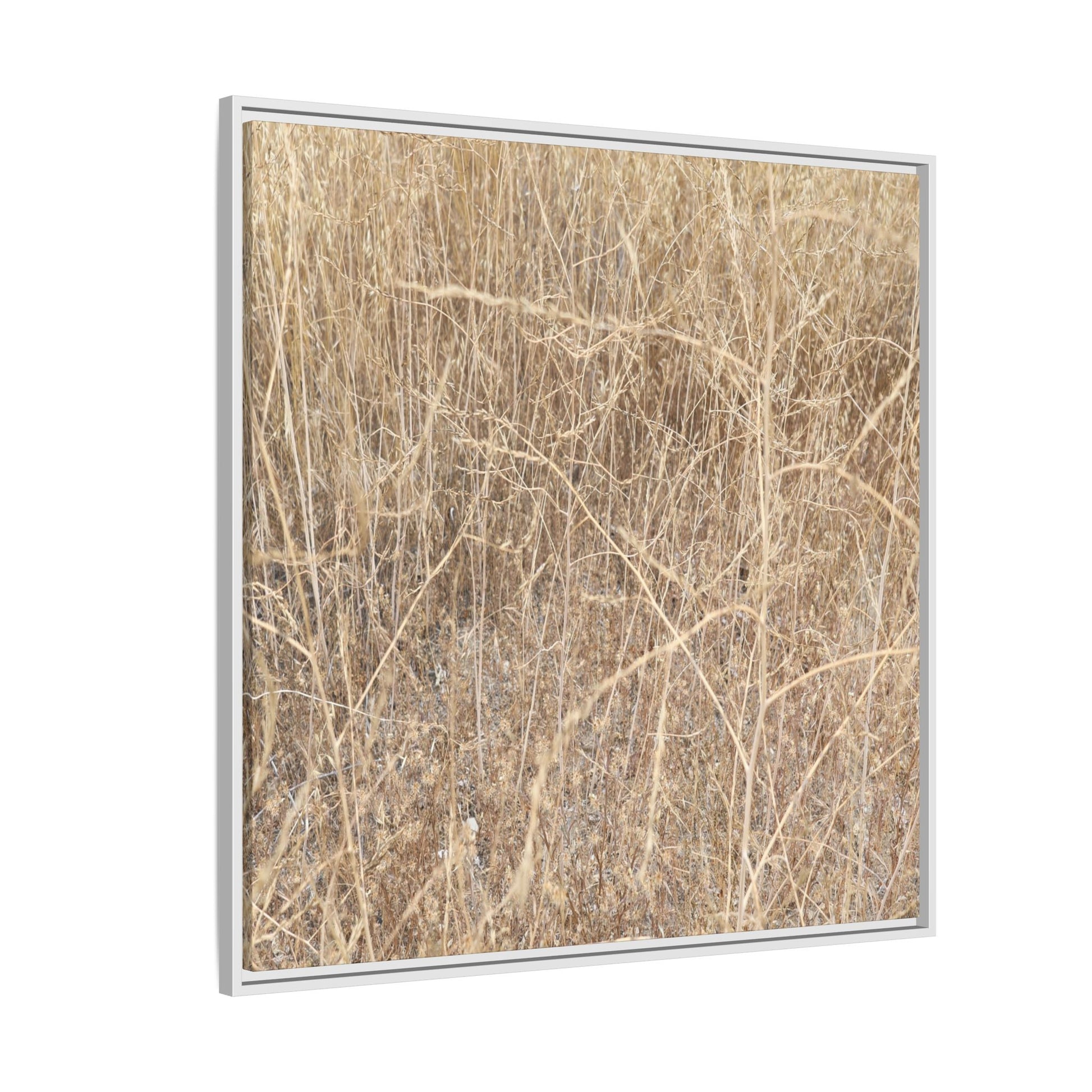 Golden Stalks - Unique Stretched Canvas Wall Art - Art By Earth