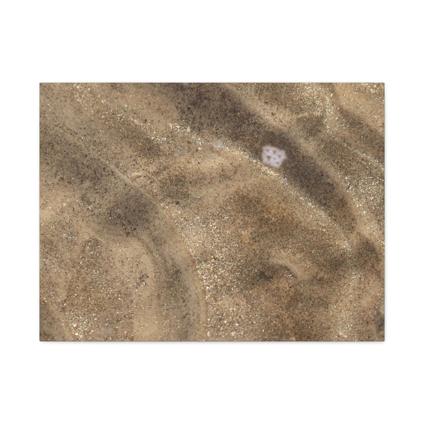 Sandy Shore Impressions - Unique Frameless Canvas Wall Art - Art By Earth