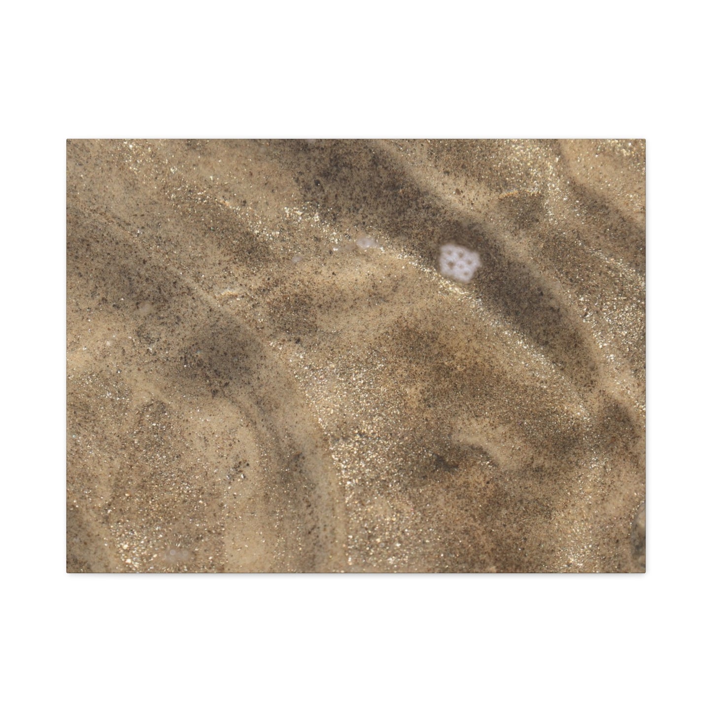 Sandy Shore Impressions - Unique Frameless Canvas Wall Art - Art By Earth