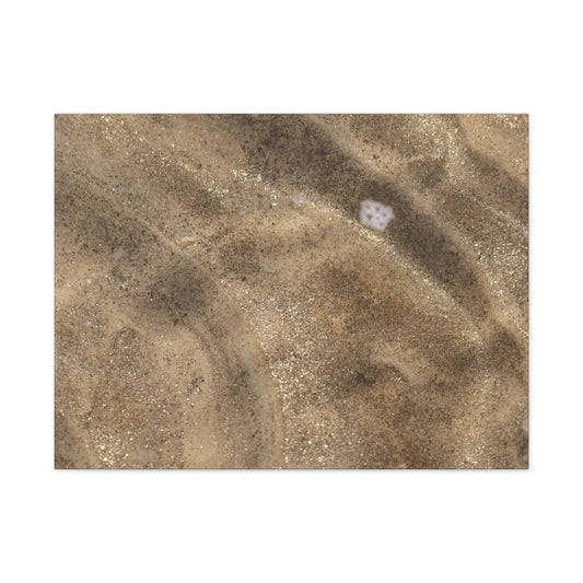 Sandy Shore Impressions - Unique Frameless Canvas Wall Art - Art By Earth