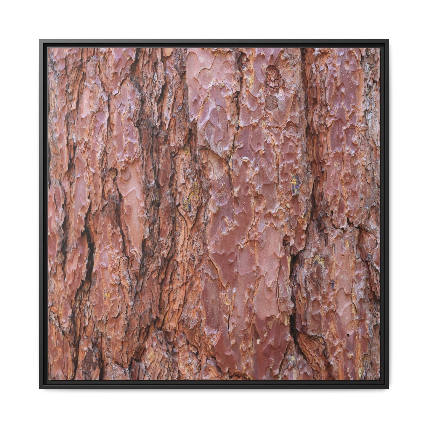 Russet Ridges - Unique Stretched Canvas Wall Art - Art By Earth