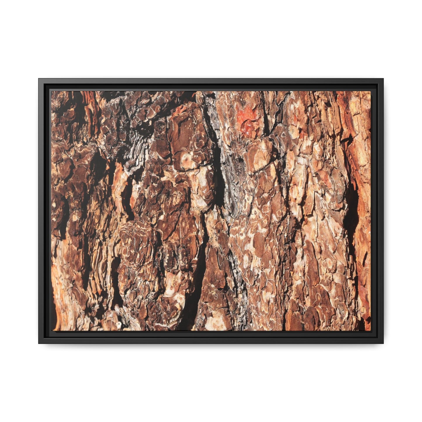 Nature's Rugged Canvas - Unique Stretched Canvas Wall Art