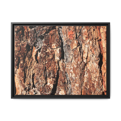 Nature's Rugged Canvas - Unique Stretched Canvas Wall Art