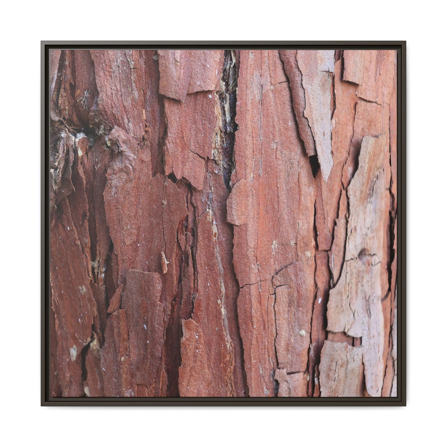 Rusted Memories - Unique Stretched Canvas Wall Art - Art By Earth