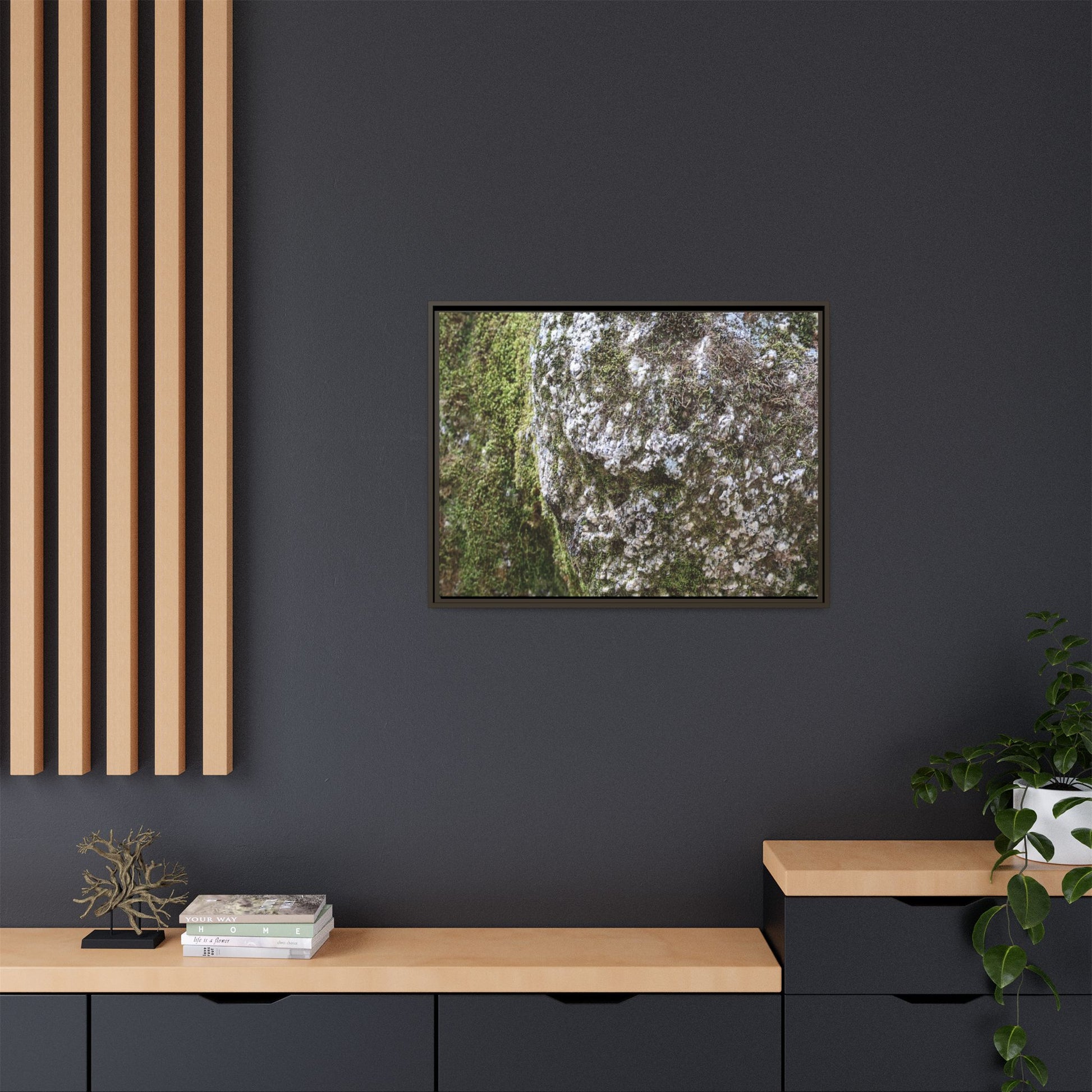 Lichen Landscape - Unique Stretched Canvas Wall Art - Art By Earth