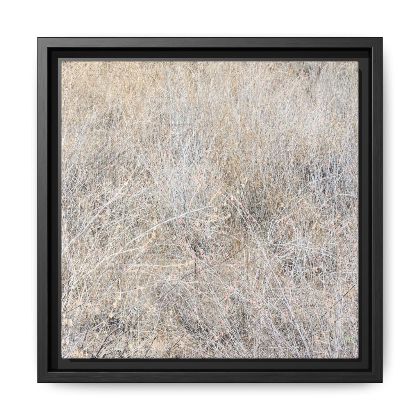 Whispers of Dry Grass - Unique Stretched Canvas Wall Art - Art By Earth