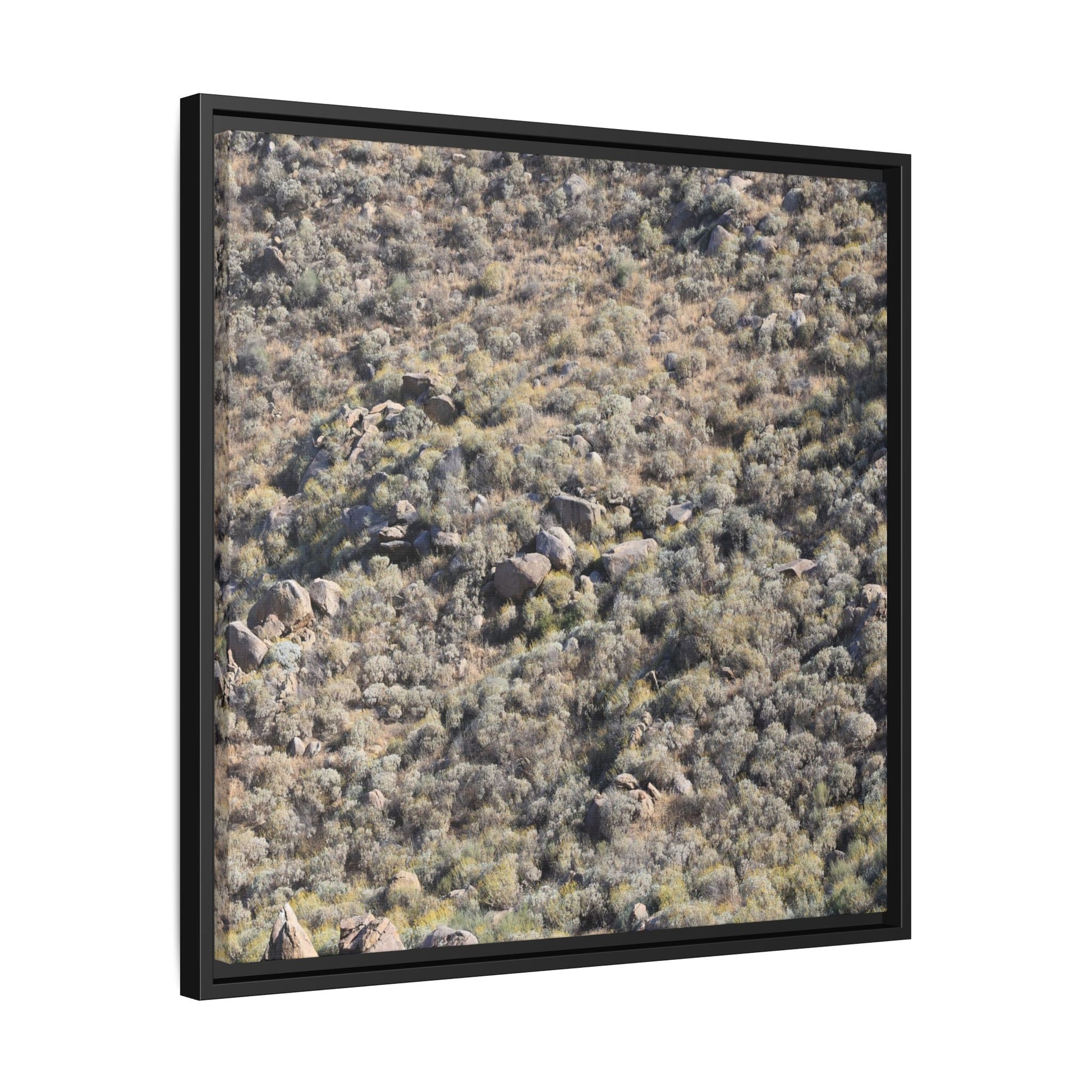 Arid Terrain Study - Unique Stretched Canvas Wall Art - Art By Earth