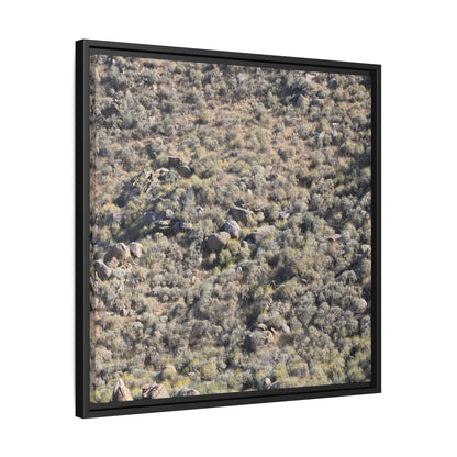 Arid Terrain Study - Unique Stretched Canvas Wall Art - Art By Earth