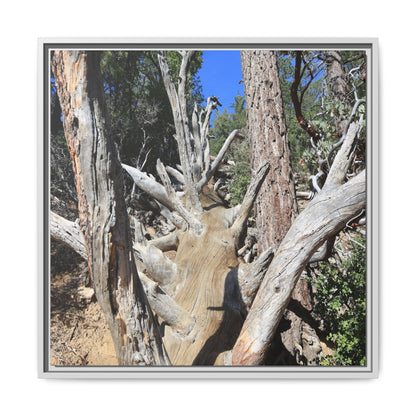 Forest Sentinels - Unique Stretched Canvas Wall Art