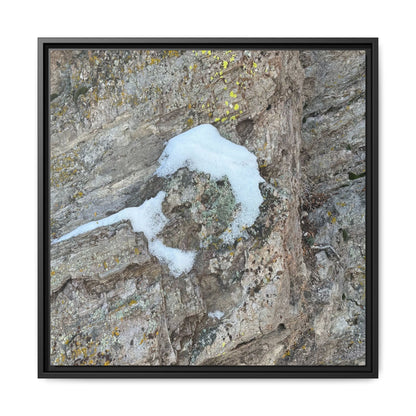 Lichen's Embrace - Unique Stretched Canvas Wall Art