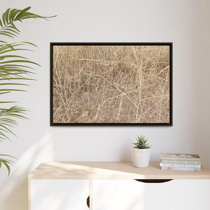 Golden Stalks - Unique Stretched Canvas Wall Art - Art By Earth