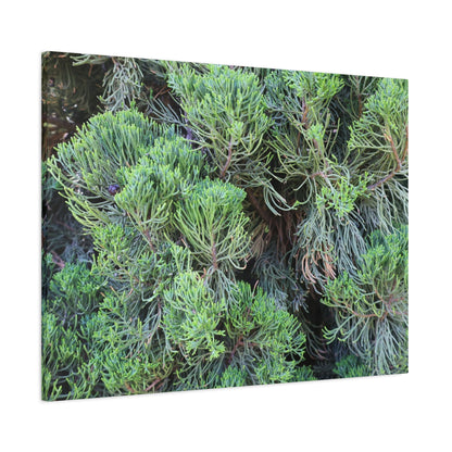 Green Labyrinth - Unique Frameless Canvas Wall Art - Art By Earth