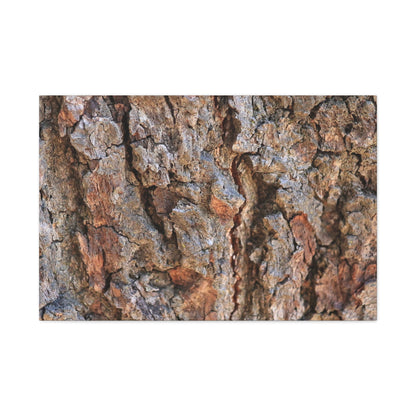 Roots of Time - Unique Frameless Canvas Wall Art - Art By Earth