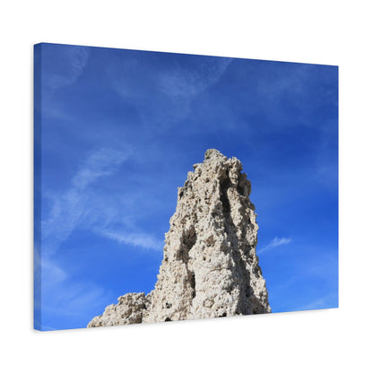 Reaching Skyward - Unique Frameless Canvas Wall Art