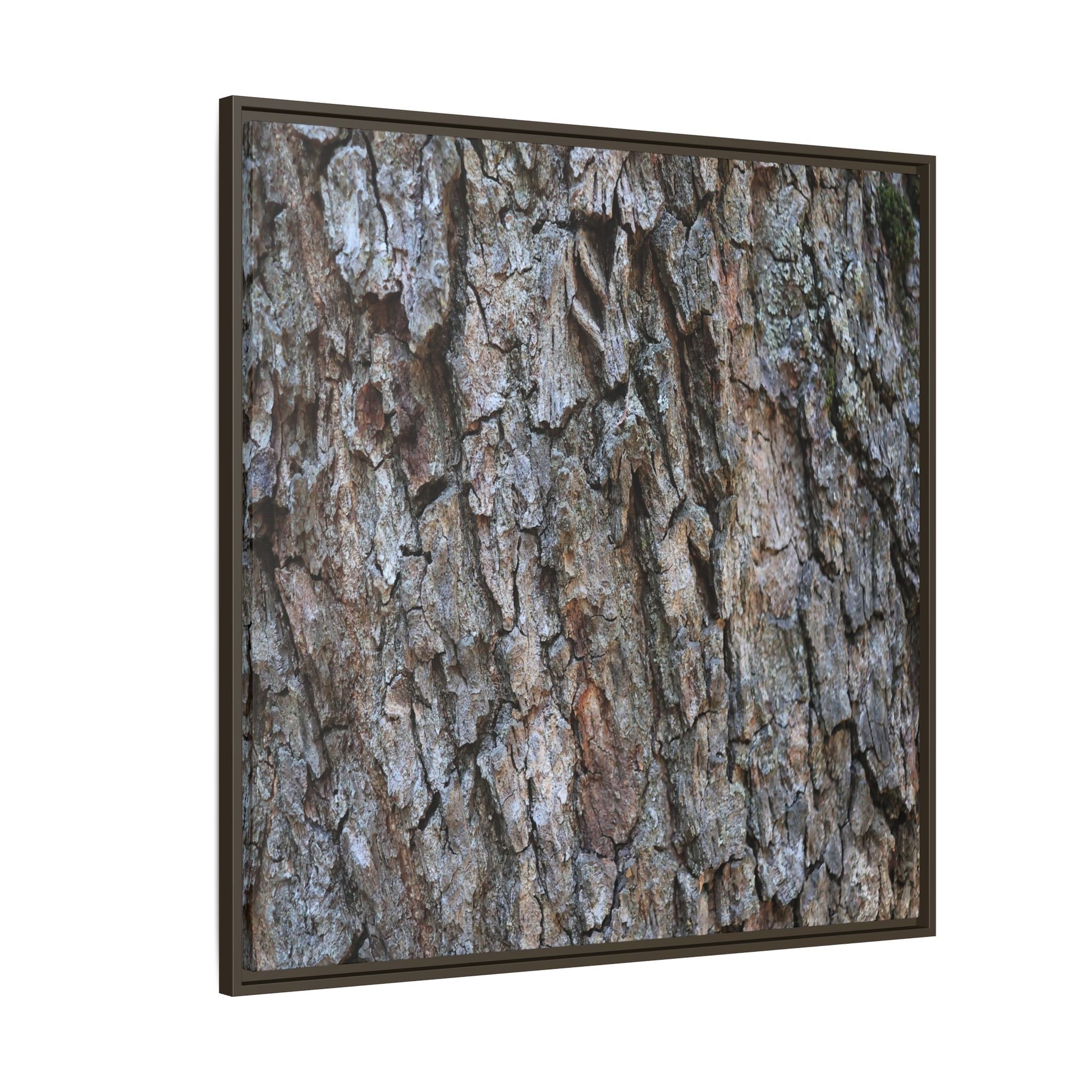 Woodland Skin - Unique Stretched Canvas Wall Art - Art By Earth