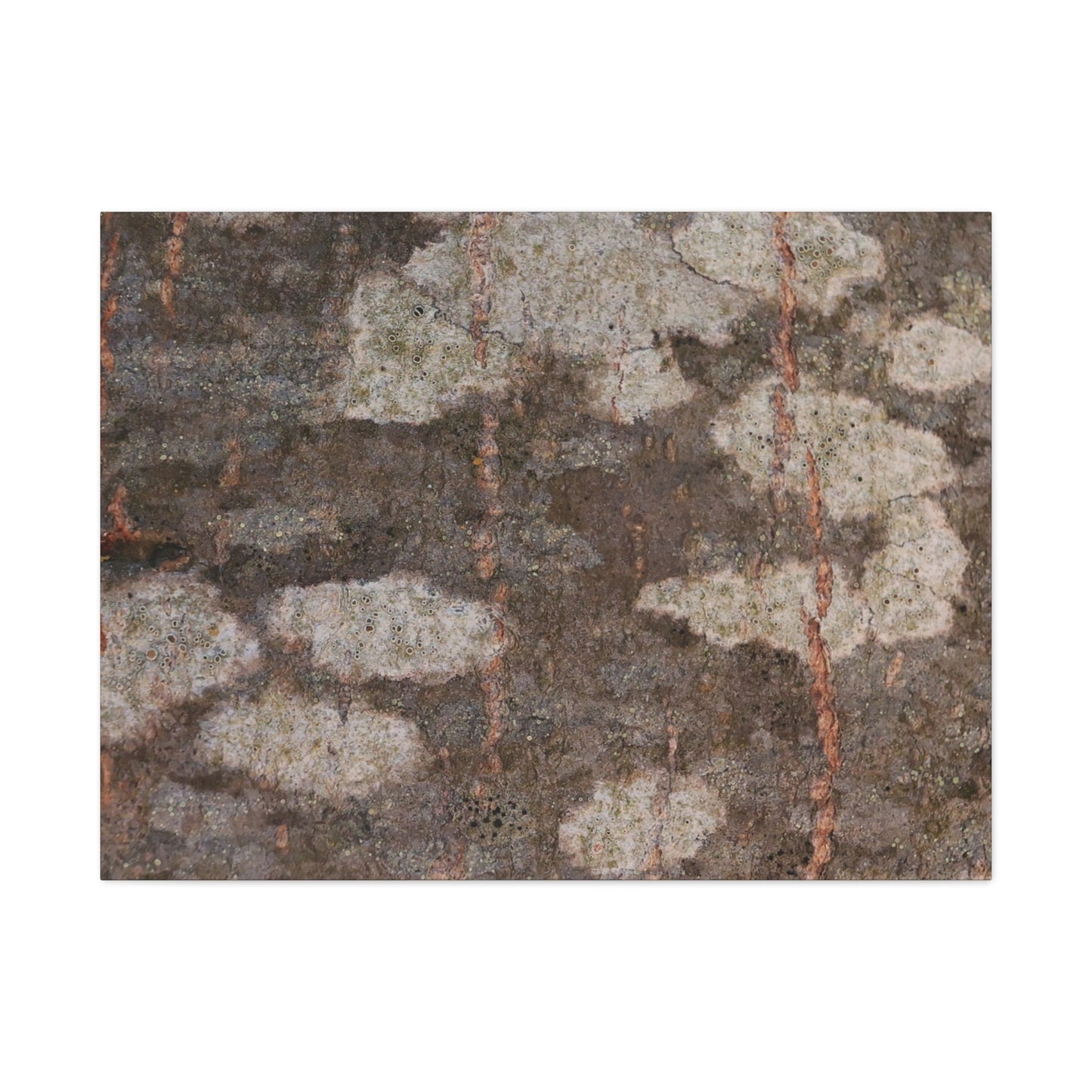 Earthen Memoir - Unique Frameless Canvas Wall Art - Art By Earth